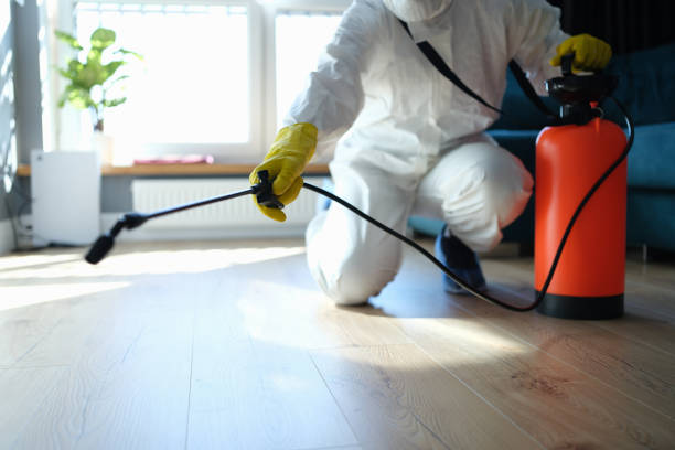 Reliable Infectious Disease Decontamination contractor in La Ward, TX by Trauma Clean Pros